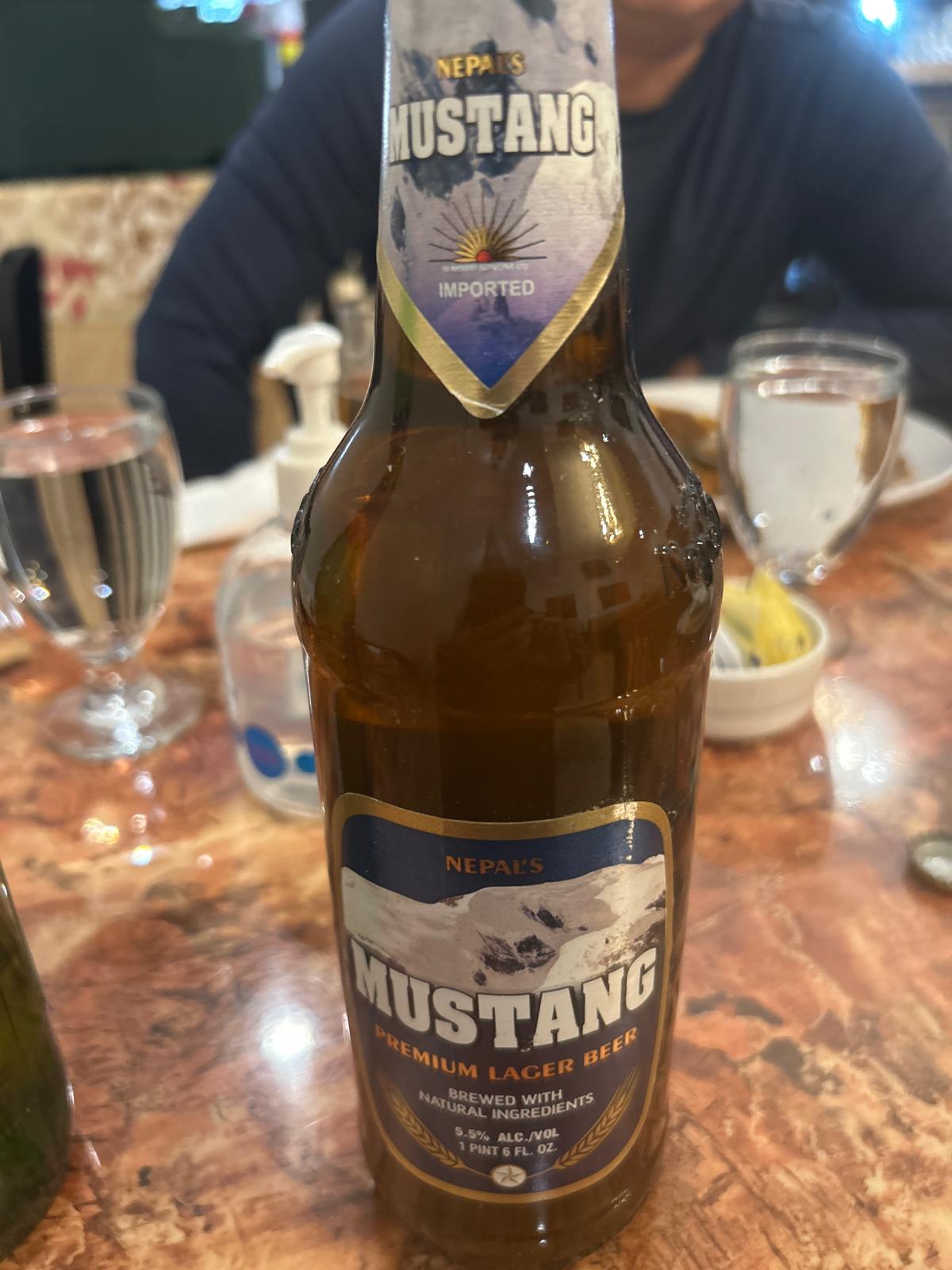 Mustang Premium Lager