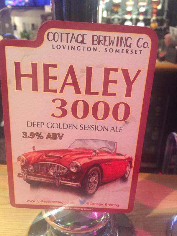 Healey 3000