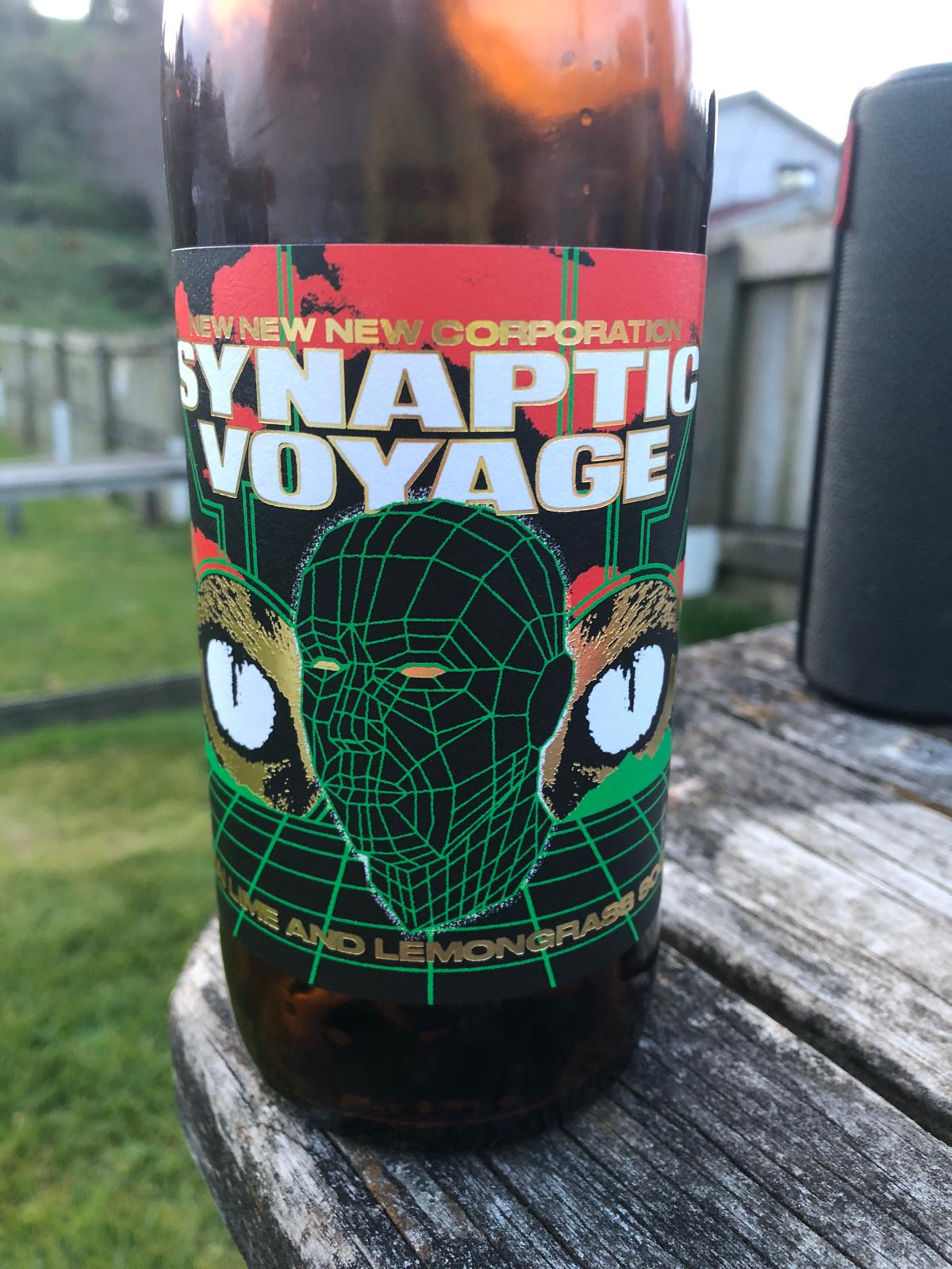 Synaptic Voyage