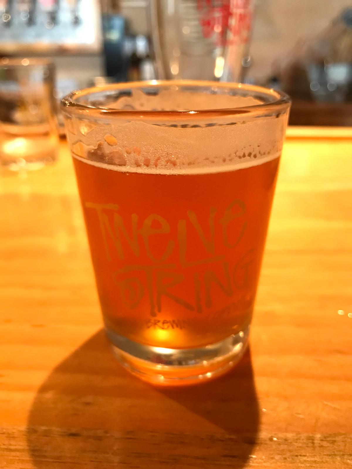 Electric Slide Imperial IPA 