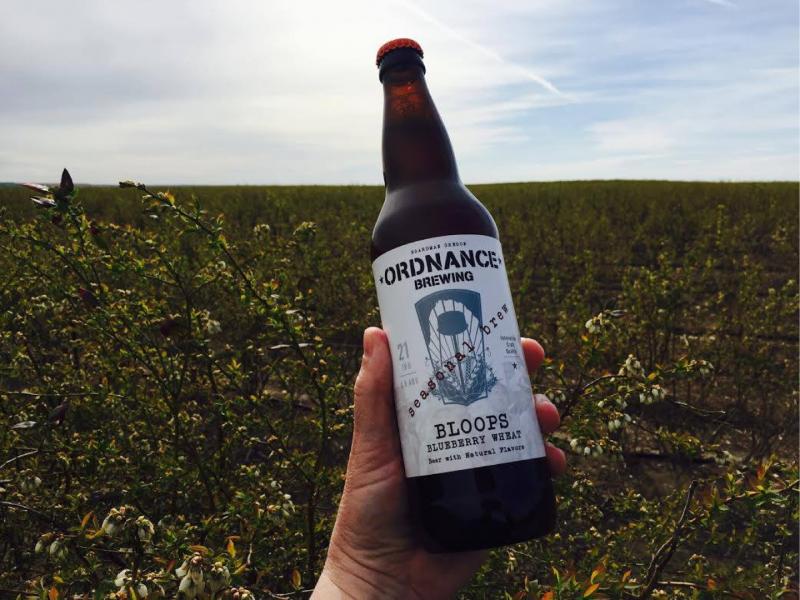 Bloops Blueberry Wheat