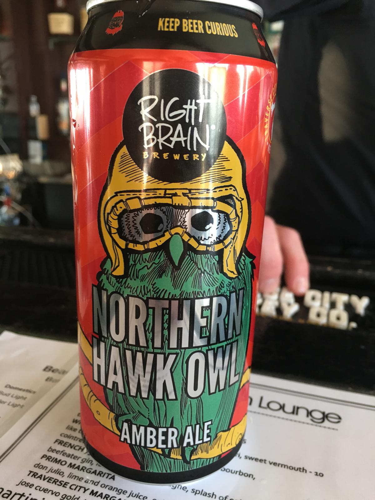 Northern Hawk Owl