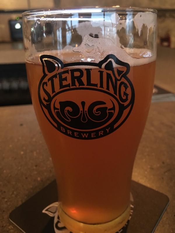 Y Not Rye IPA