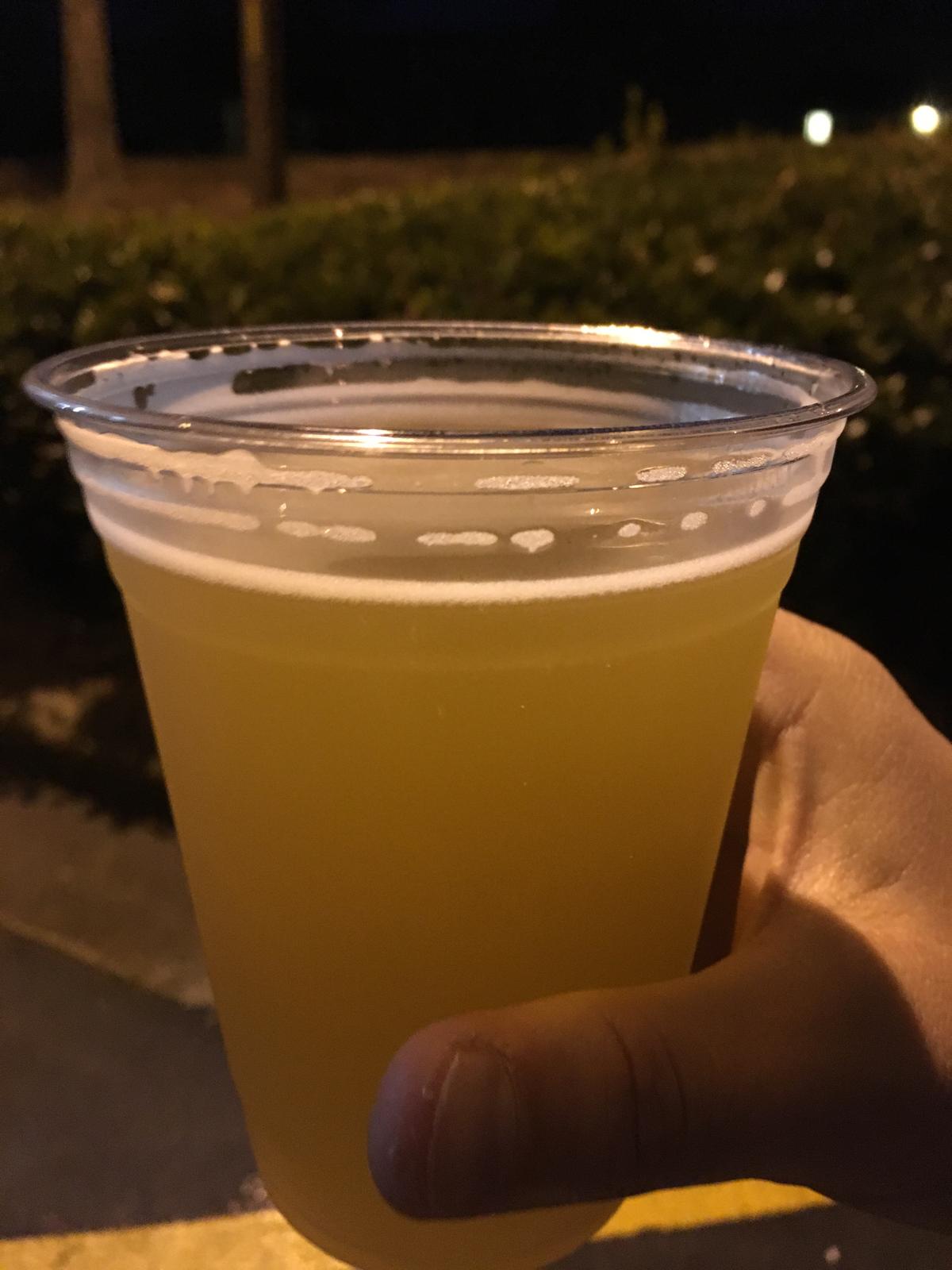 Imperial Sour IPA