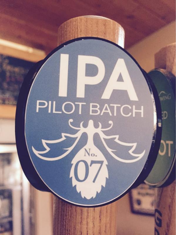 Pilot Batch IPA #7