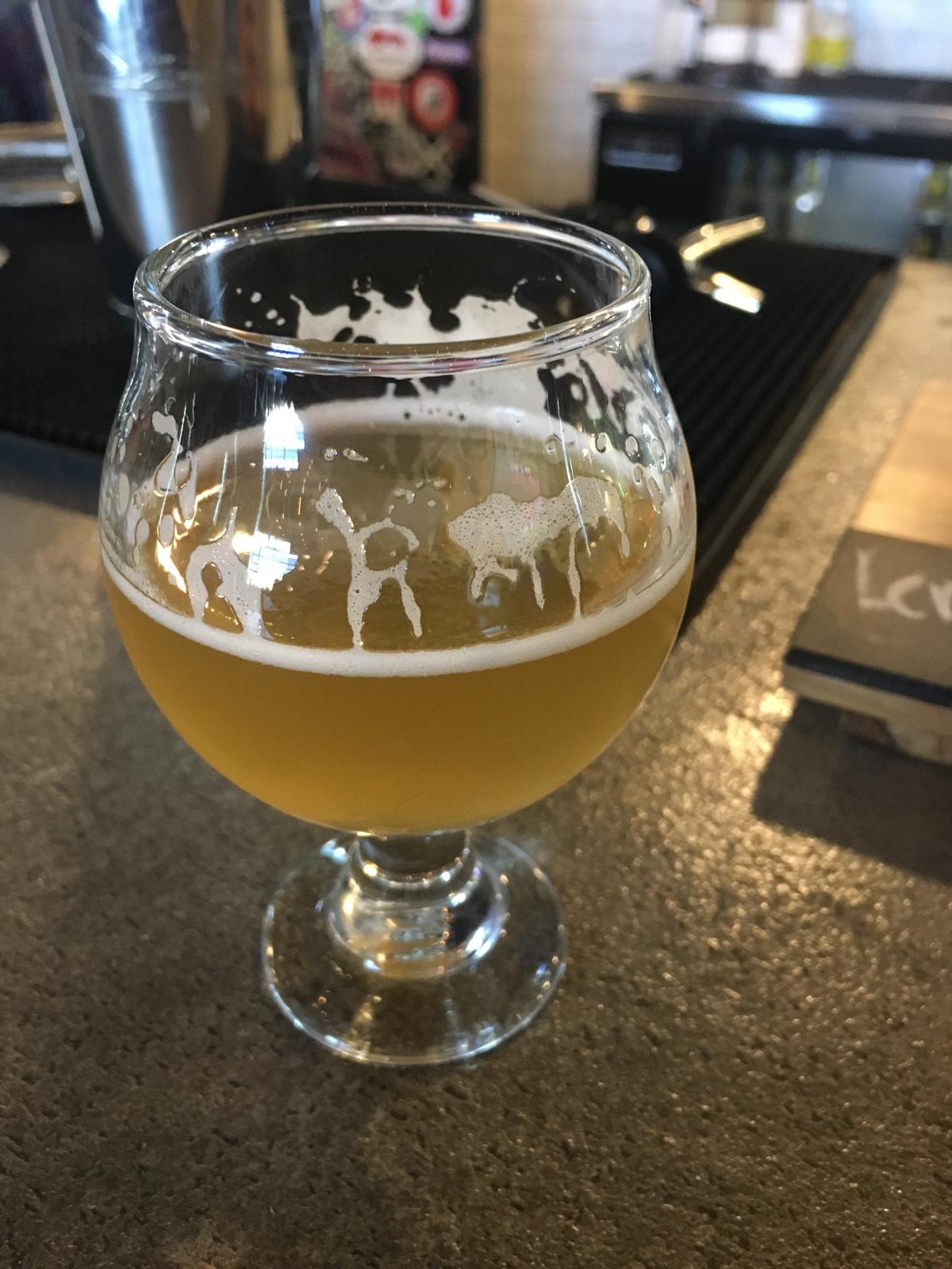 Dry-Hopped Gose