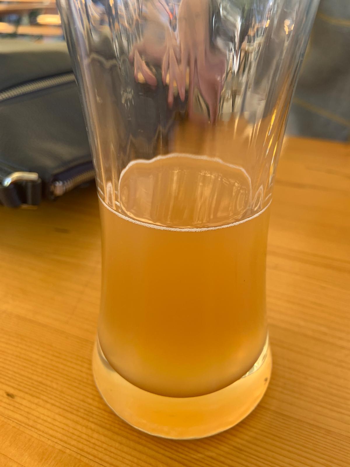 Lada Dry Hopped Gose