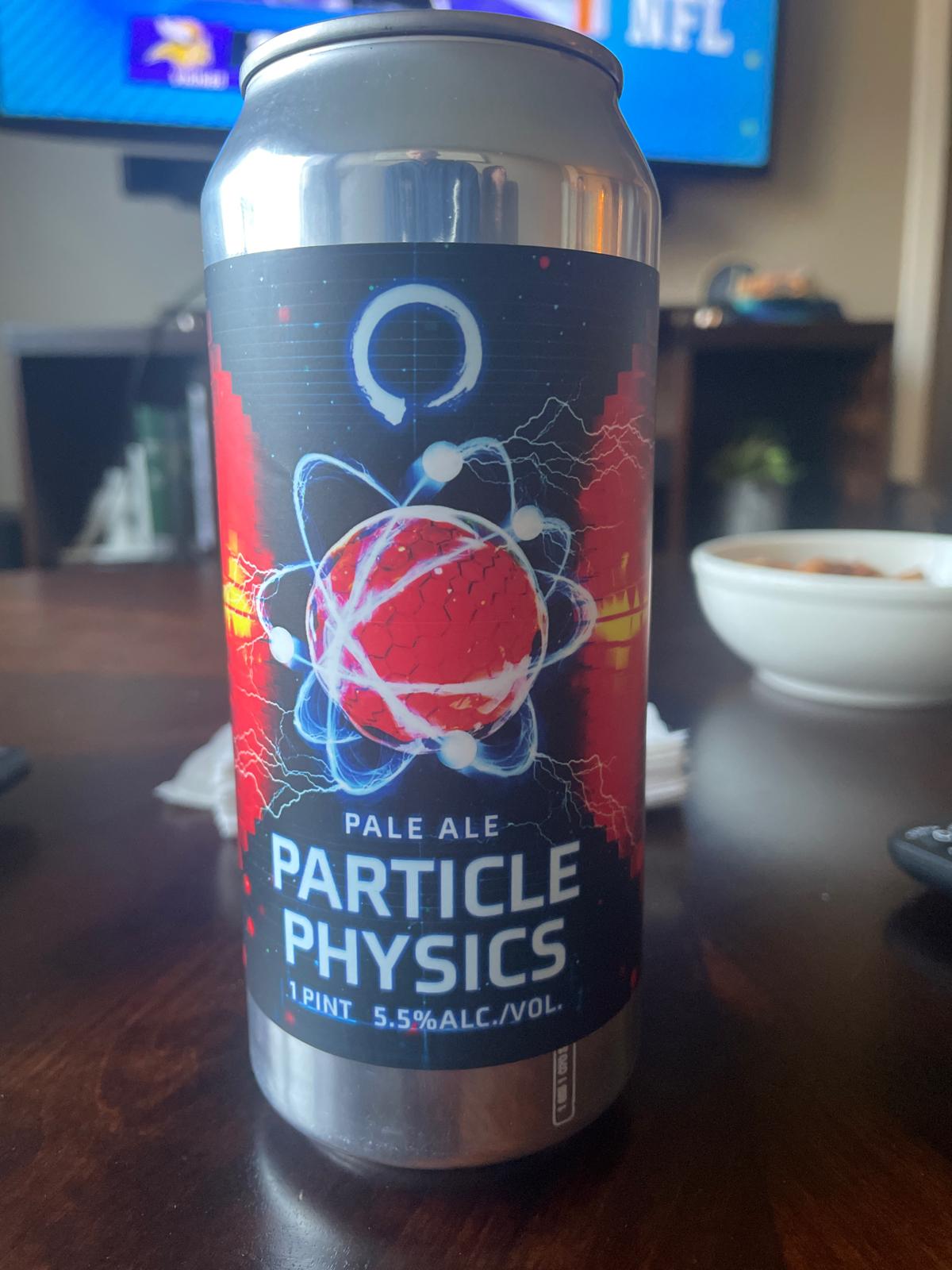 Particle Physics