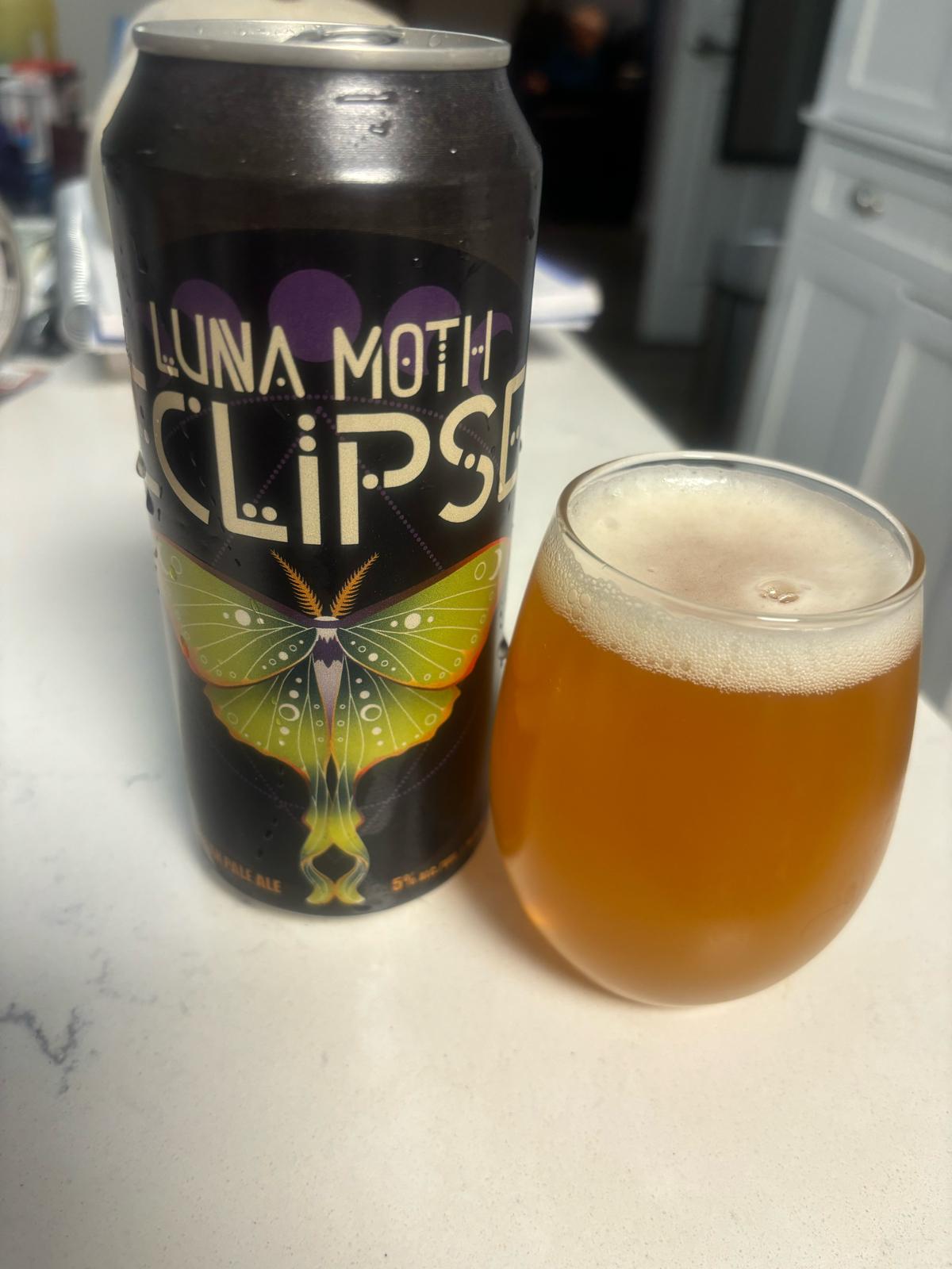 Luna Moth Eclipse