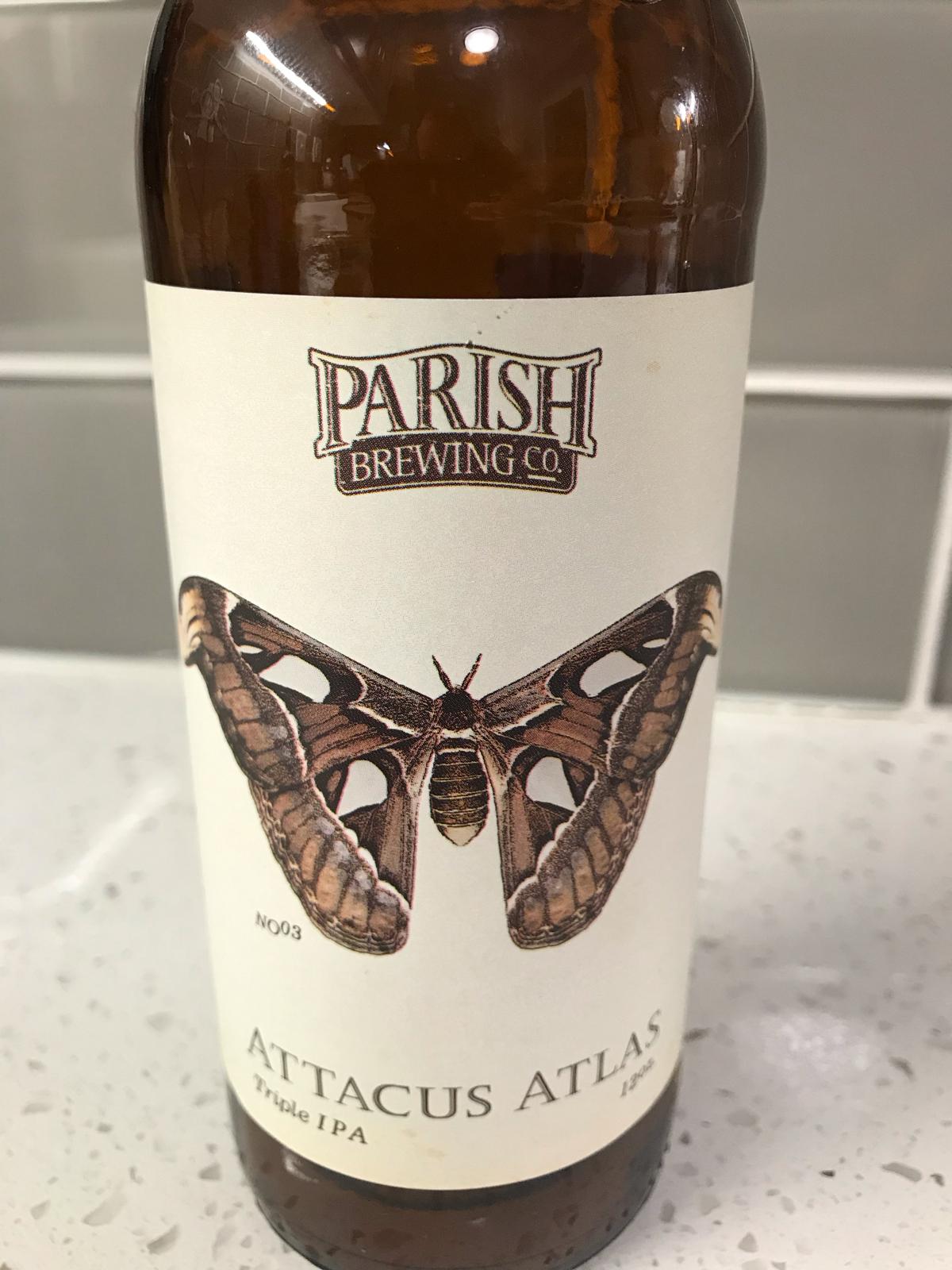Attacus Atlas