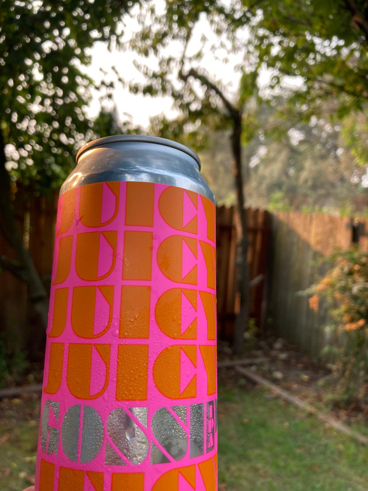 Gossip IPA