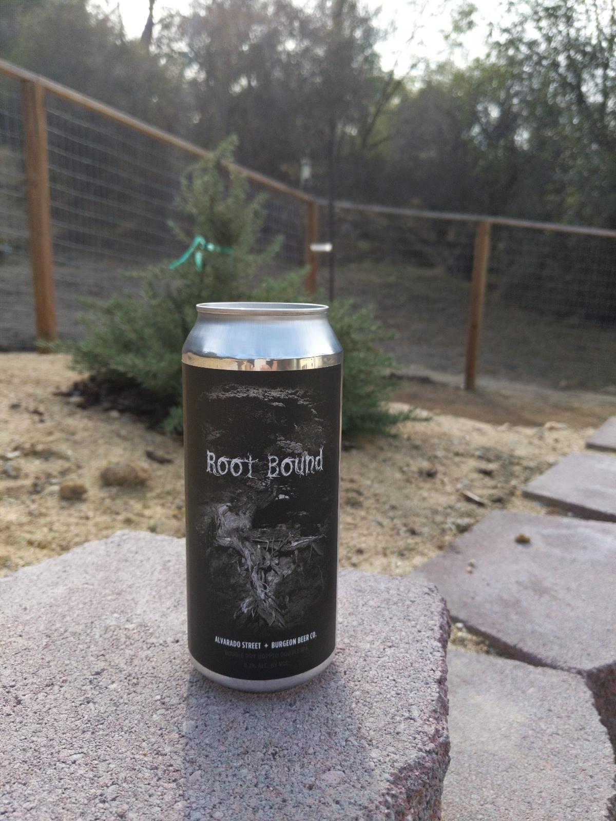 Root Bound (Collaboration with Burgeon Brewery)