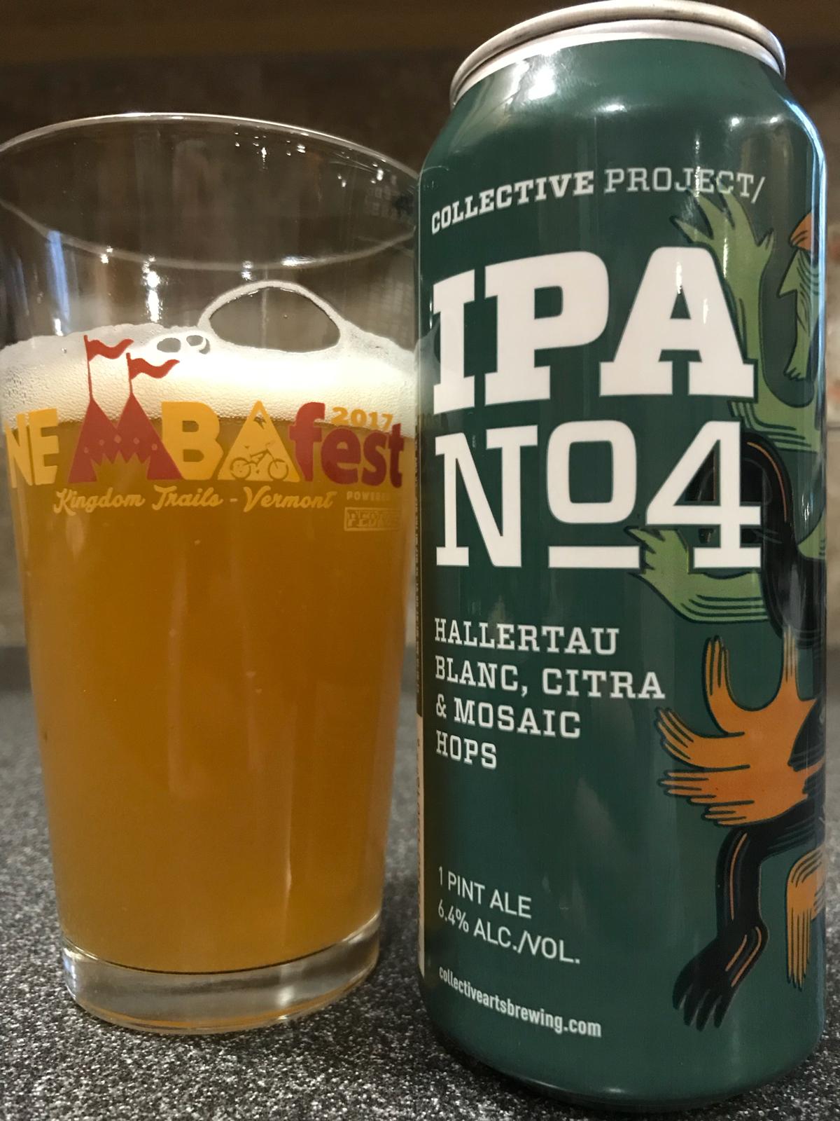 Collective Project: IPA No. 4