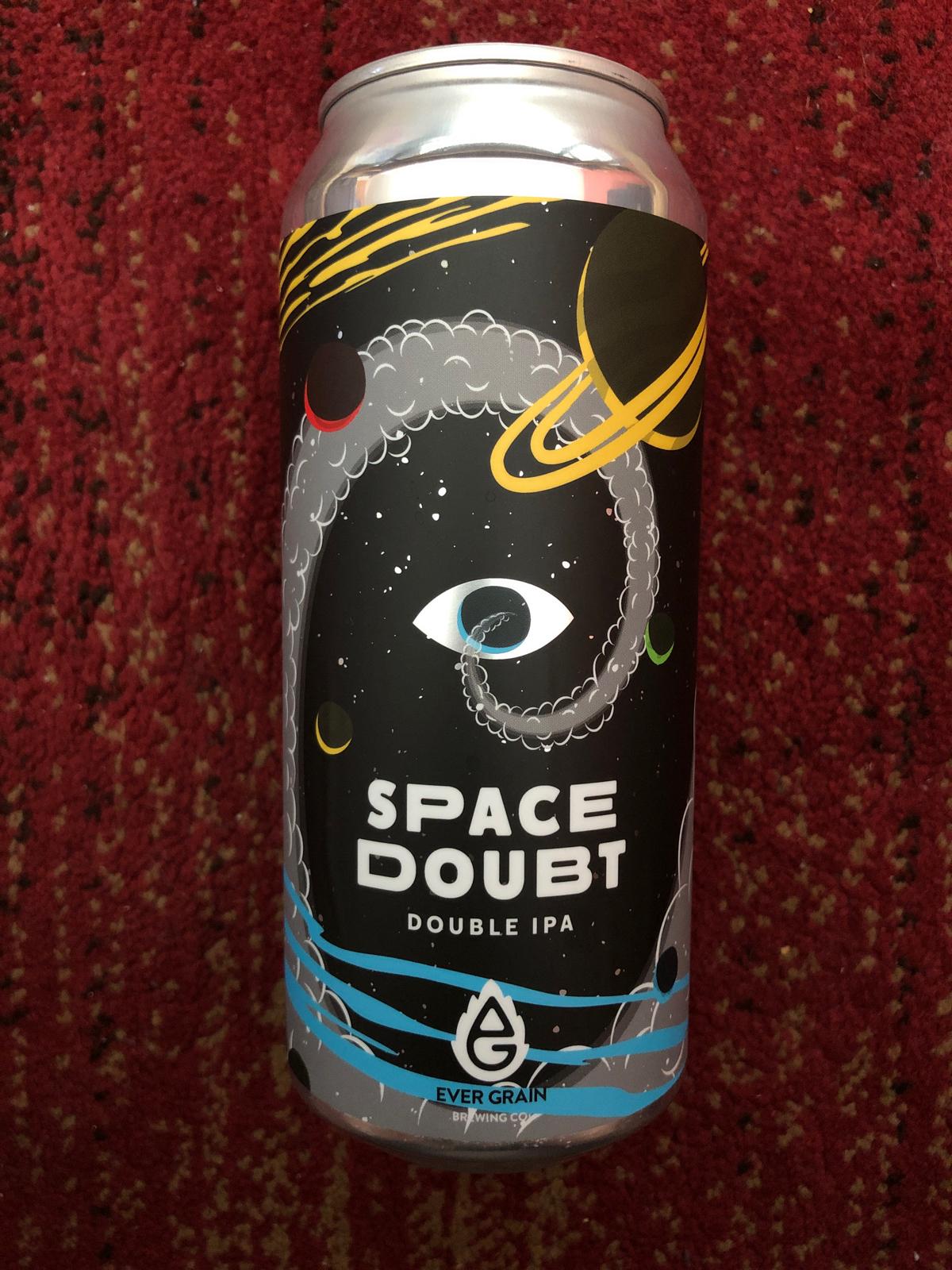 Space Doubt 