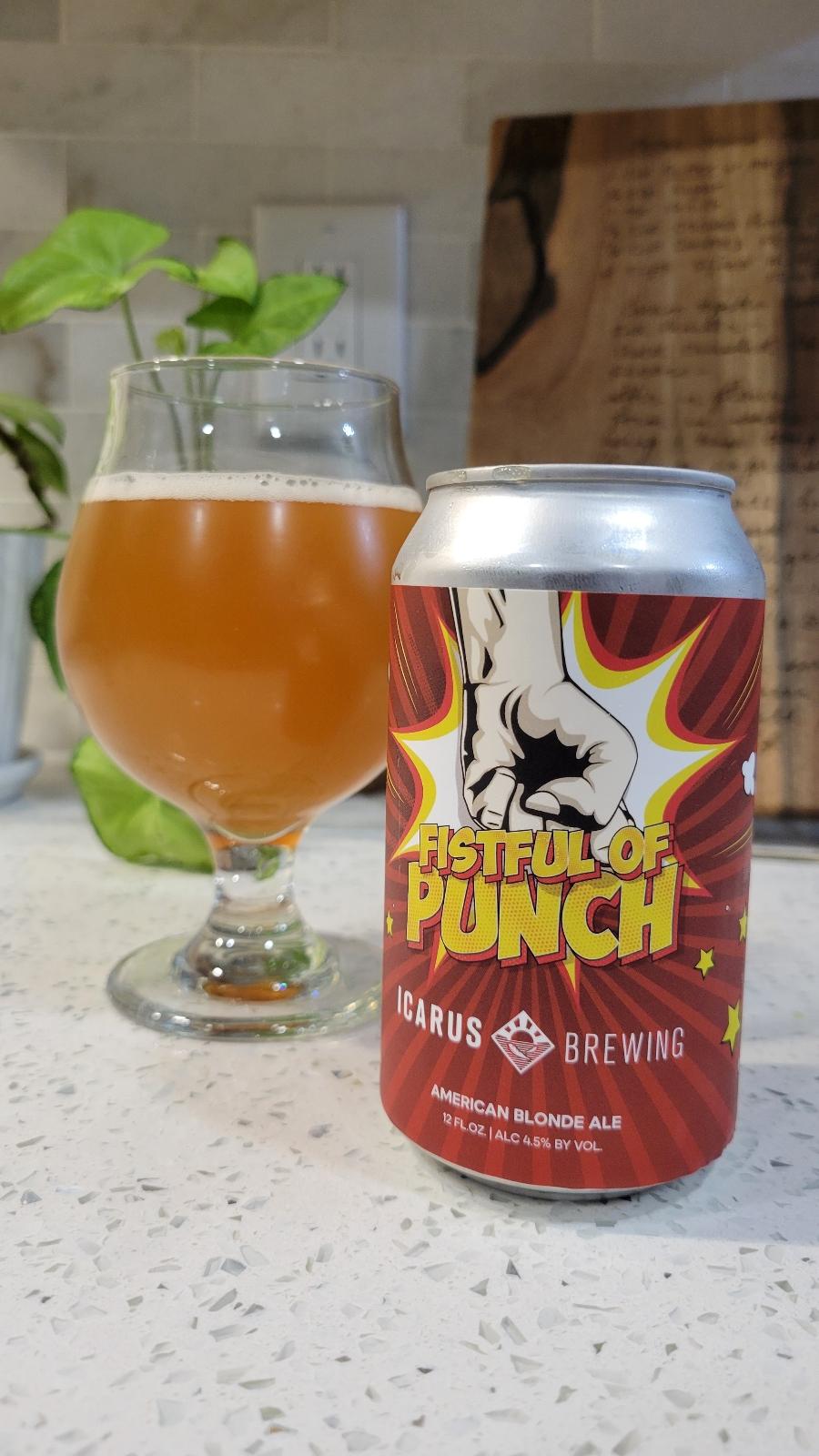 Fistful Of Punch