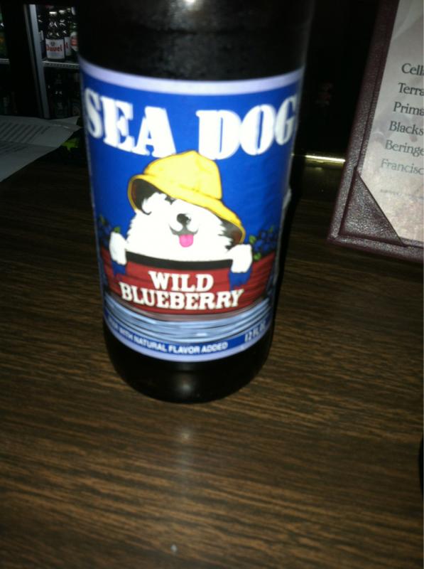 Maine Coast Wild Blueberry Ale