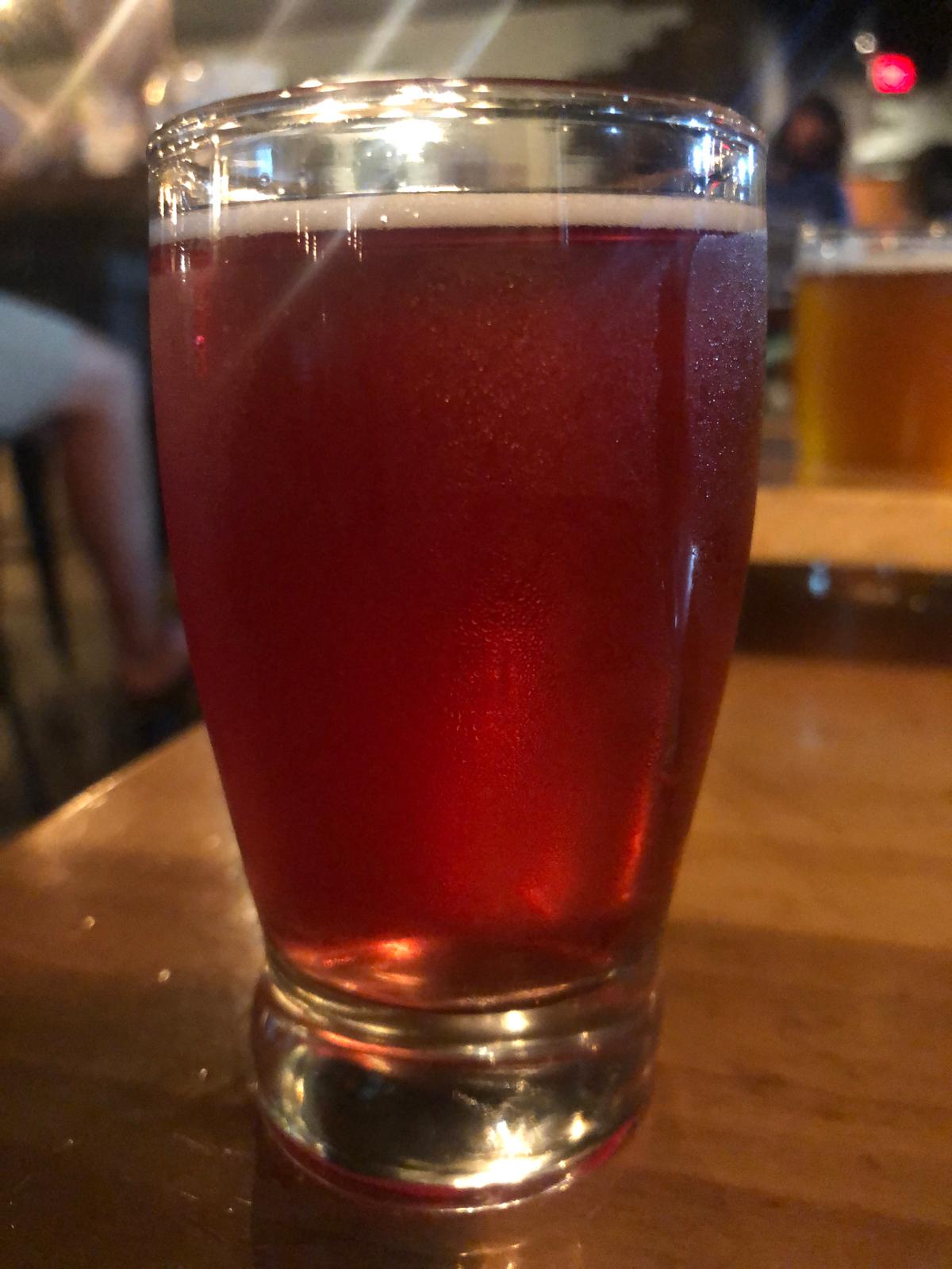 Unleashed Boysenberry Gose