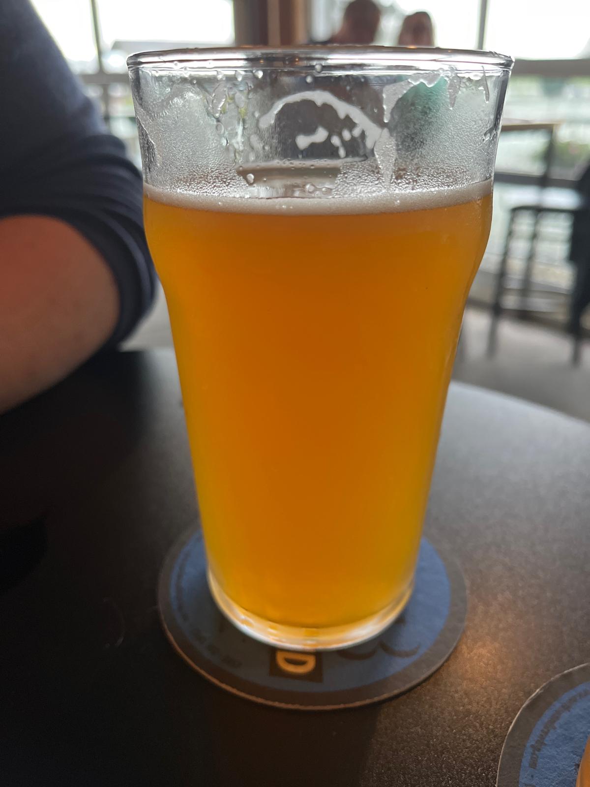 Hopsolicious IPA