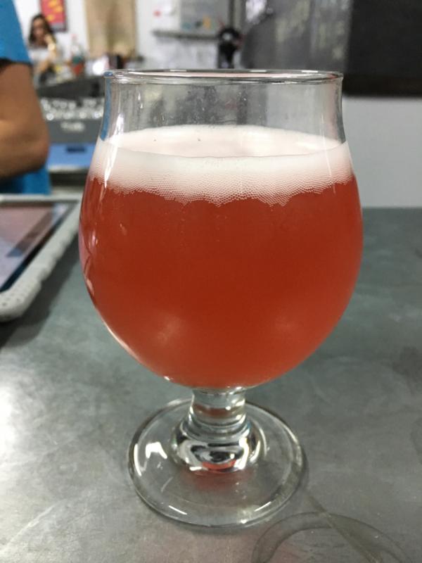 Gose with Raspberry & Key Lime