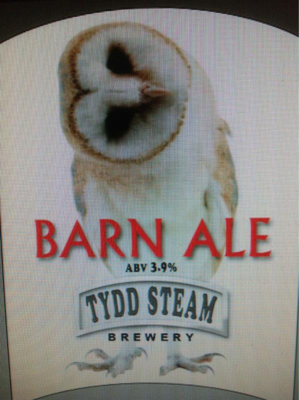 Barn Owl