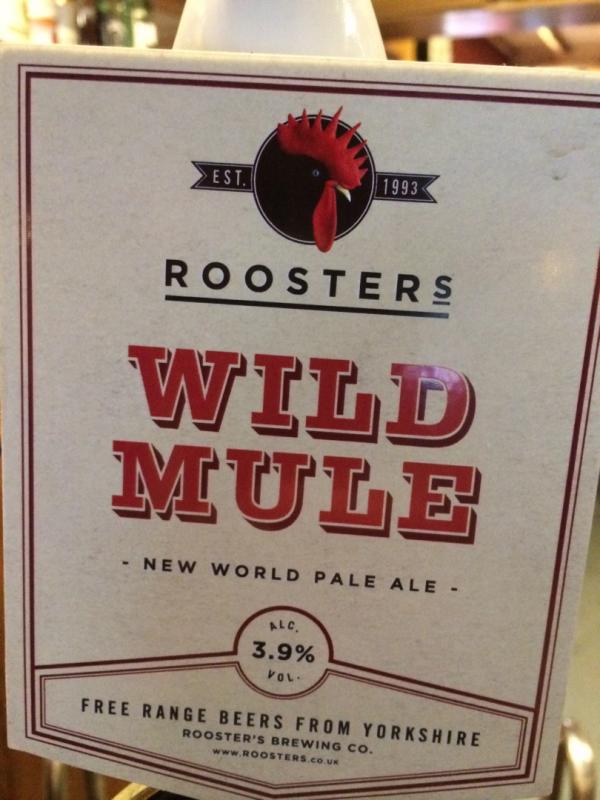 Wild Mule