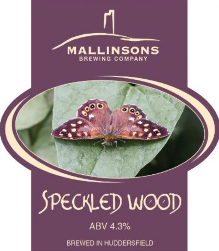 Speckled Wood
