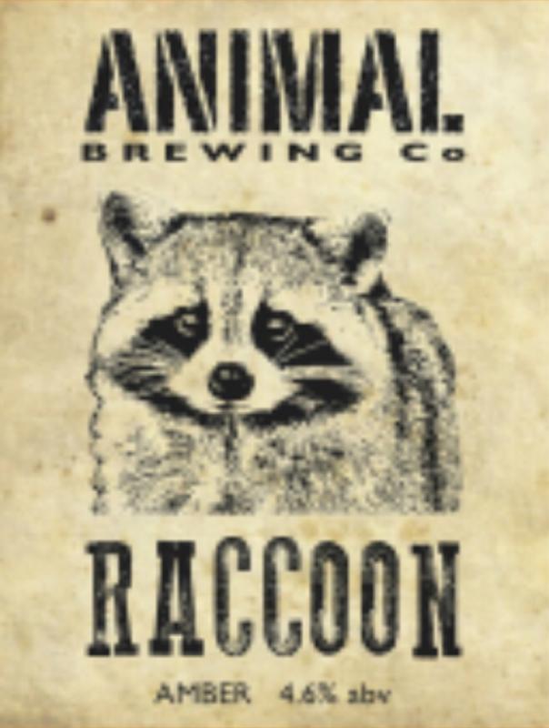 Animal - Raccoon