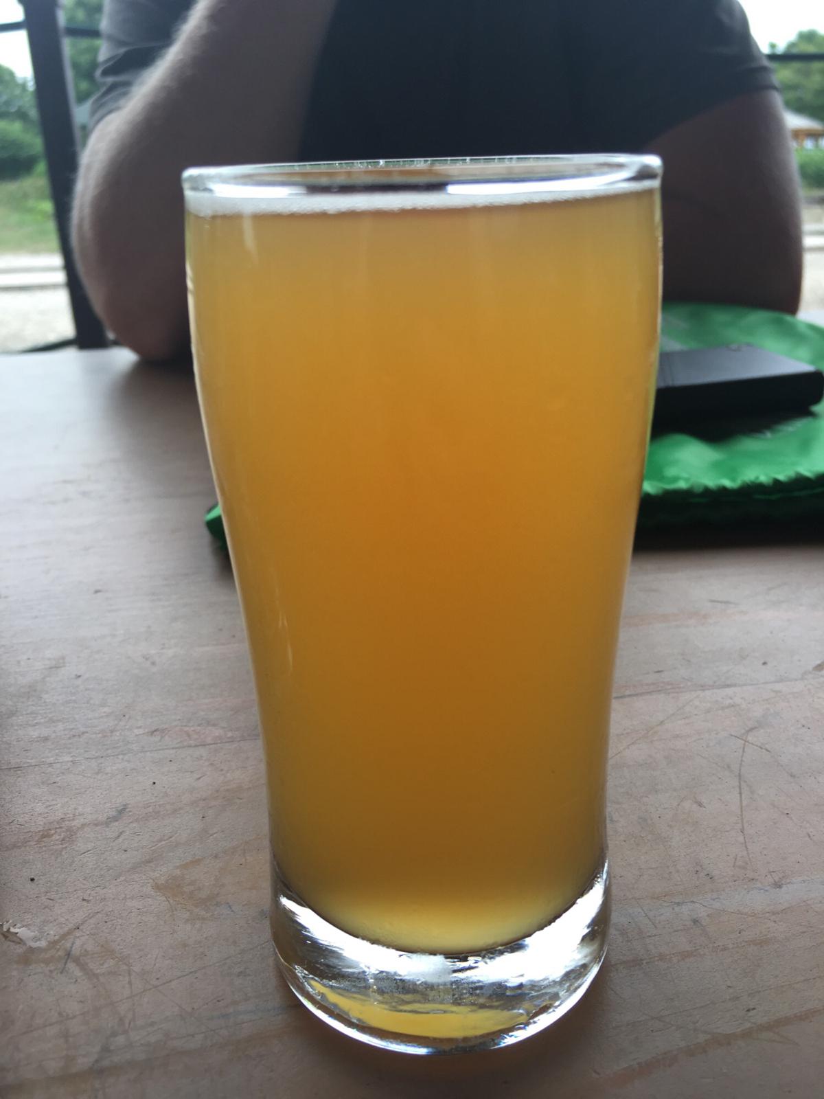 Under The Trestle Mango Kolsch