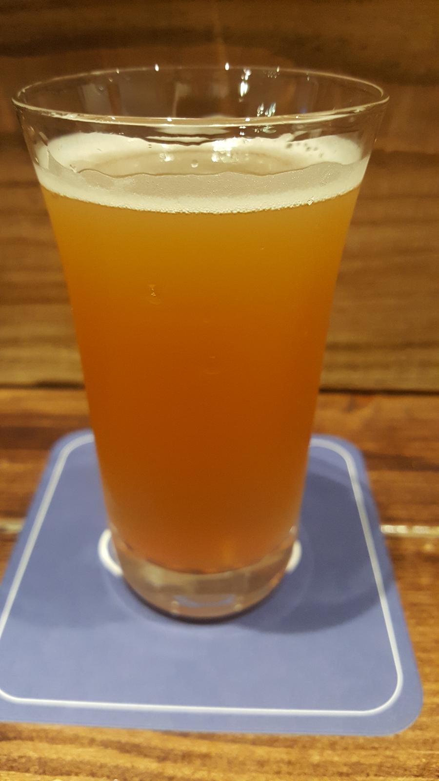 Grand Slam IPA - Nelson Sauvin