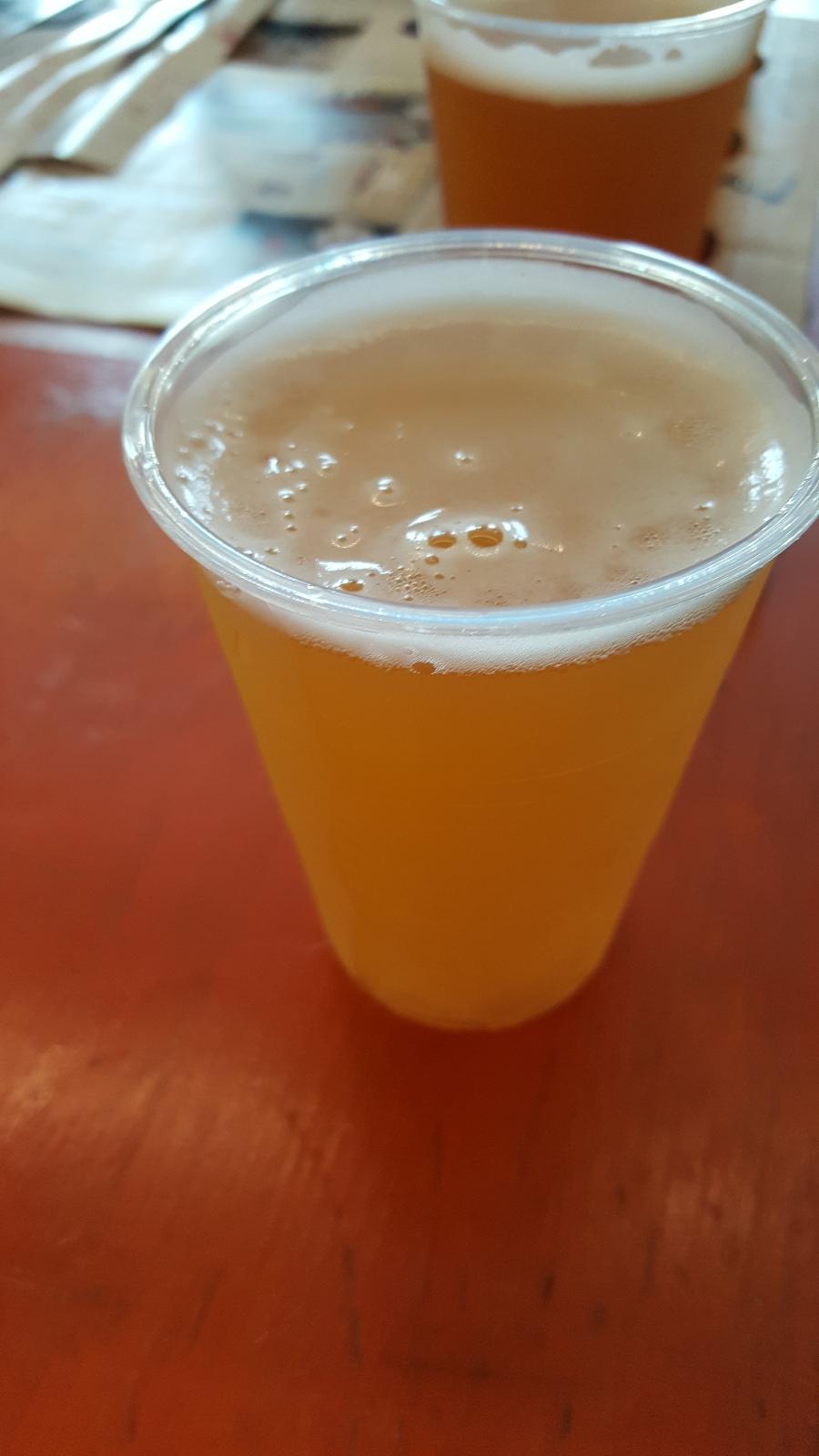 Belgian Style Sweet Peach Ale