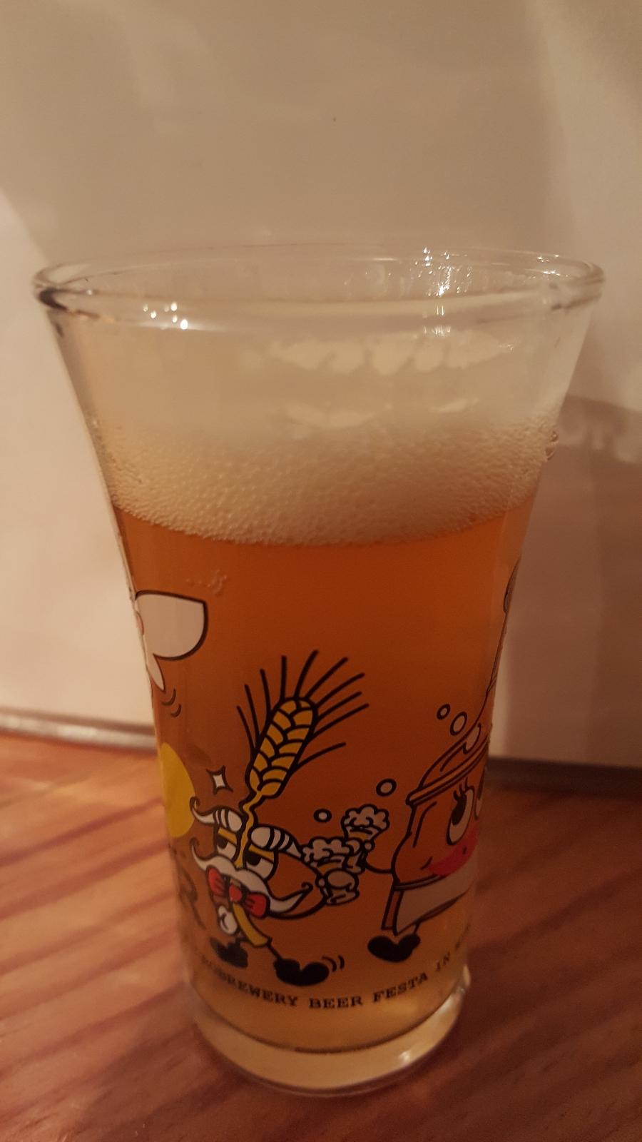 Hideji Orange Lager