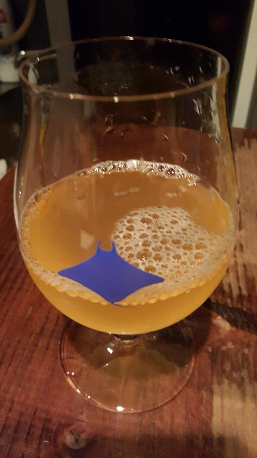 Peach Citrus Gose