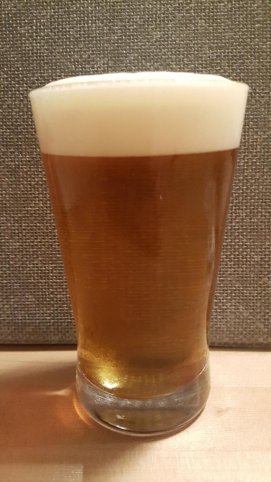 #266 Fueki Ryuko IPA