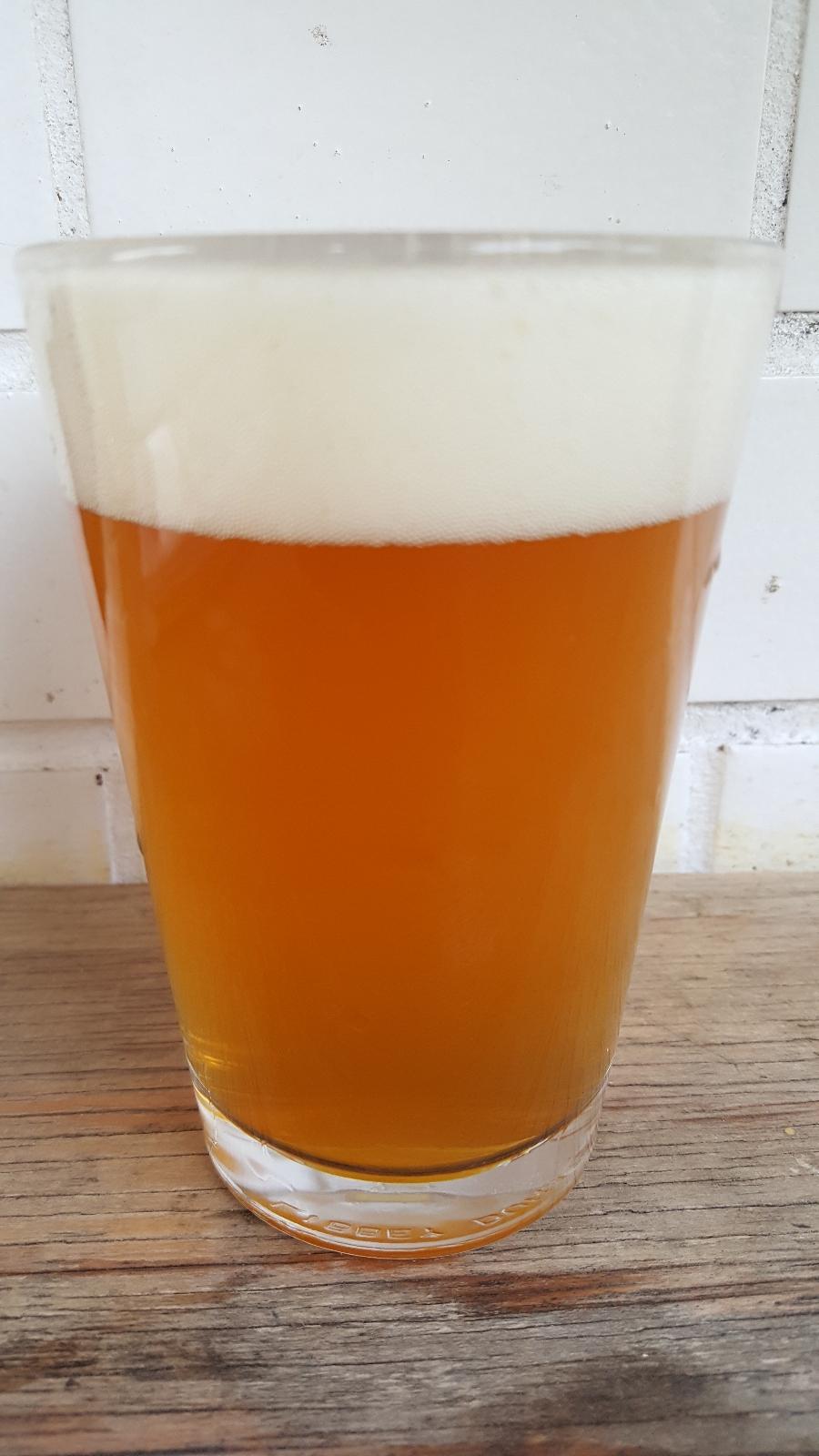 Sodo IPA (Collaboration with Sodo)