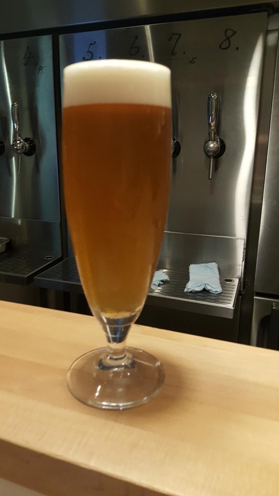 Foeder Pils (Collaboration with Yokohama Bay Brewing)