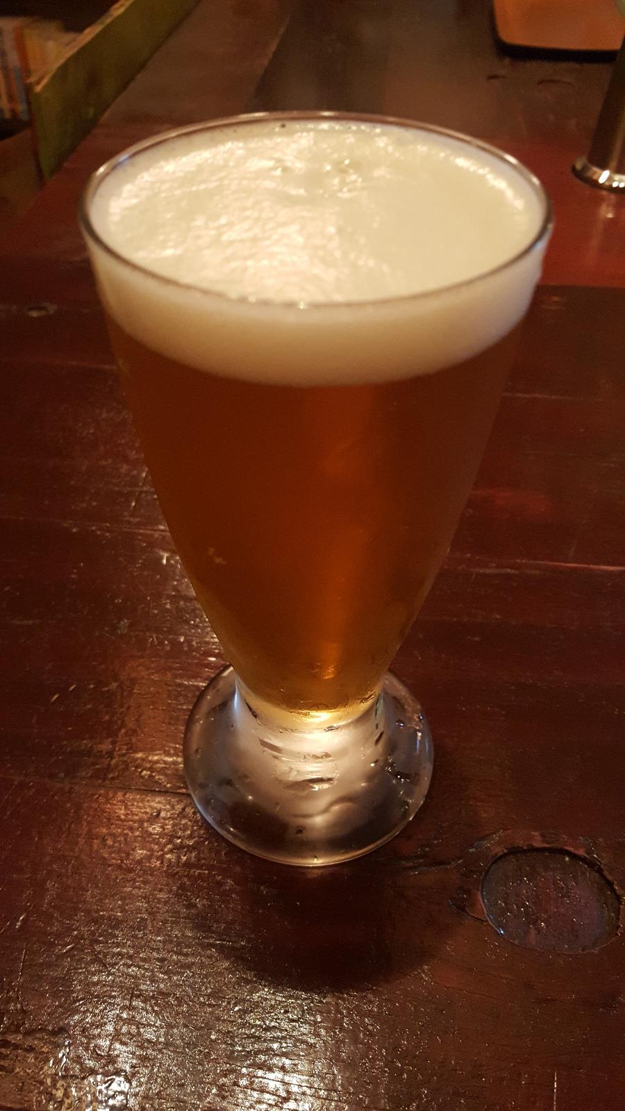 Shiga Kogen Fresh Hop Bitter