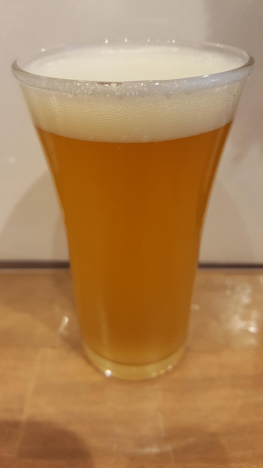 Fujizakura Heights Dragon Mosaic (2018)