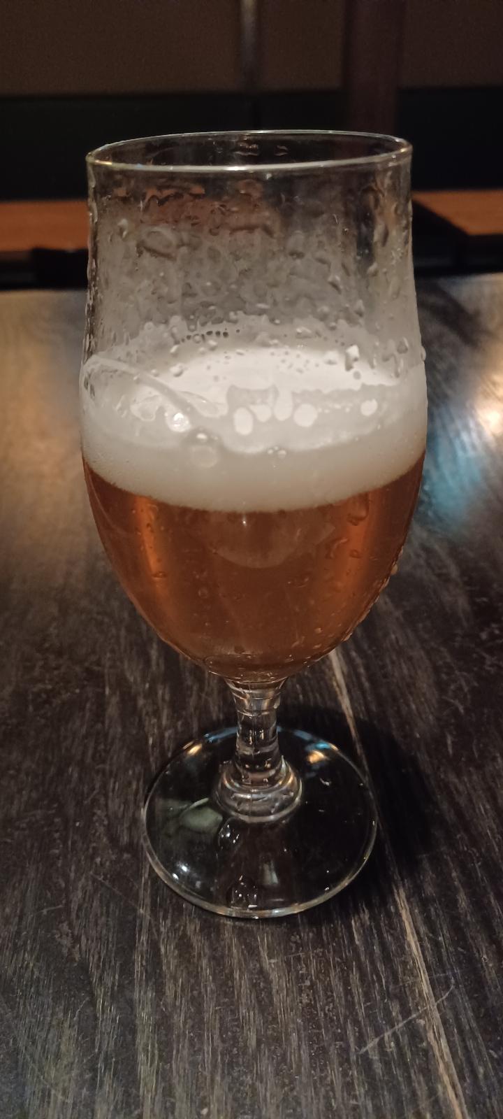 Fujizakura Heights Premium Pilsner