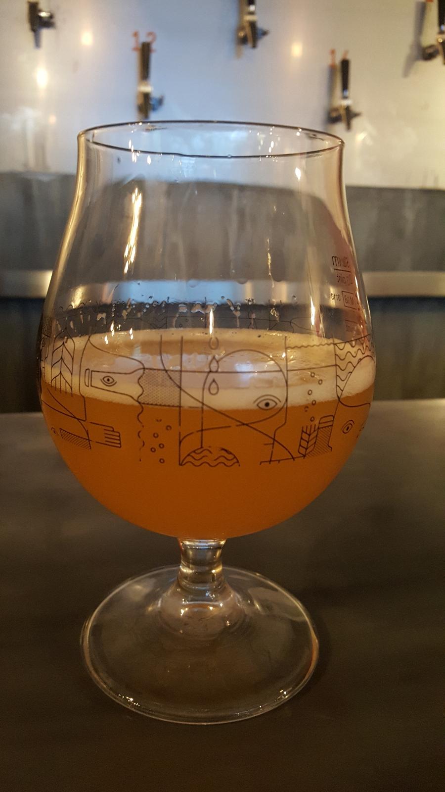 India Pale Ale Citra Centennial Galaxy