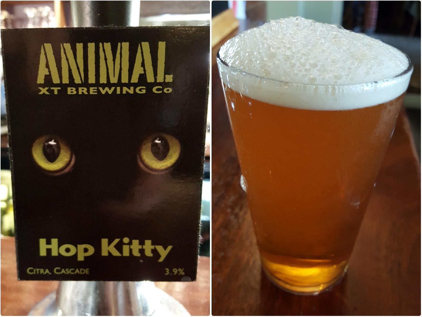 Animal - Hop Kitty