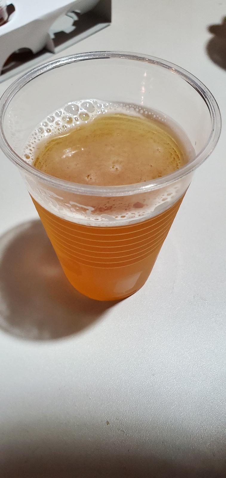 Kick IPA (2019)