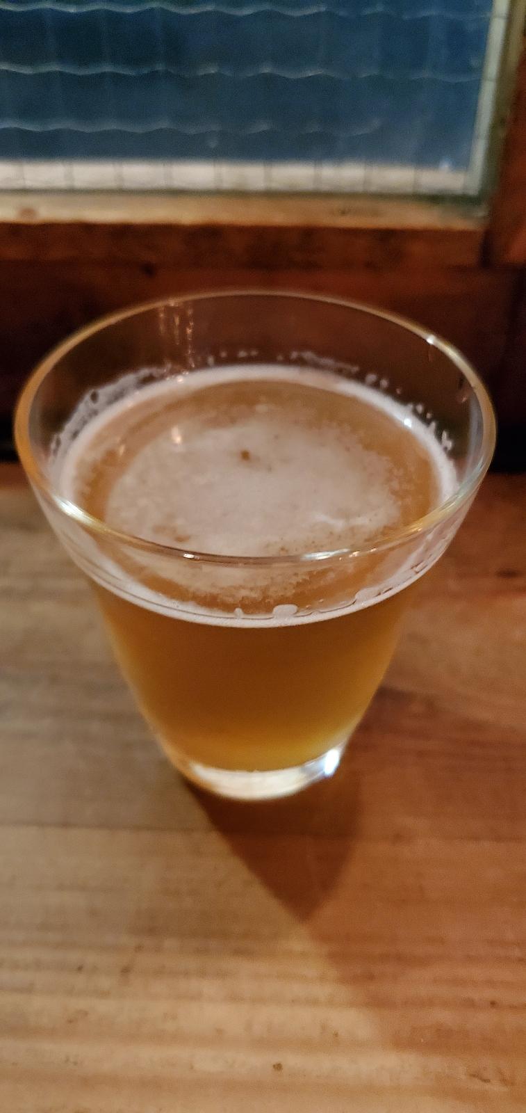 C58 239 Hazy IPA