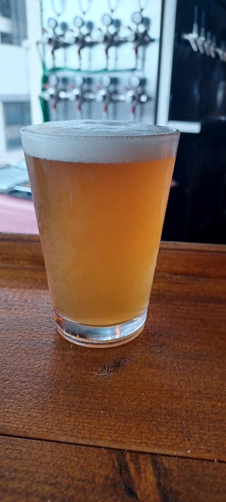 Crystal Ale V3