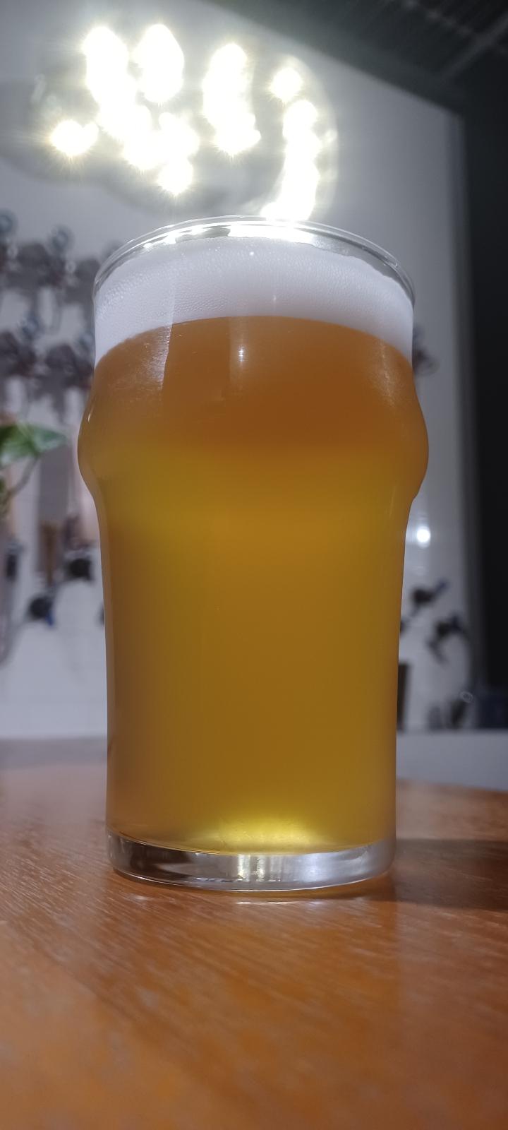 Baystars IPA