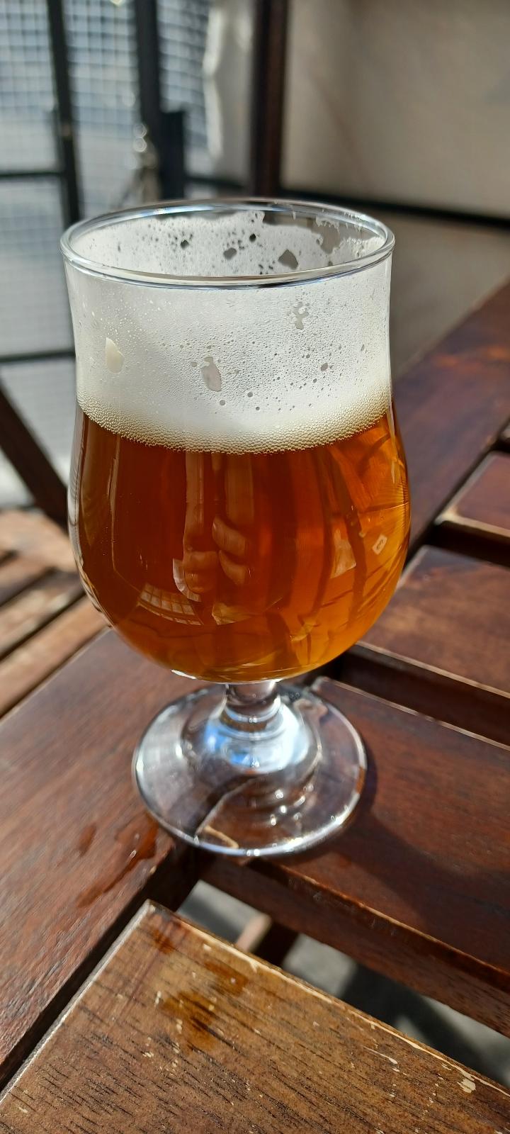 The Hop SamuRye IPA