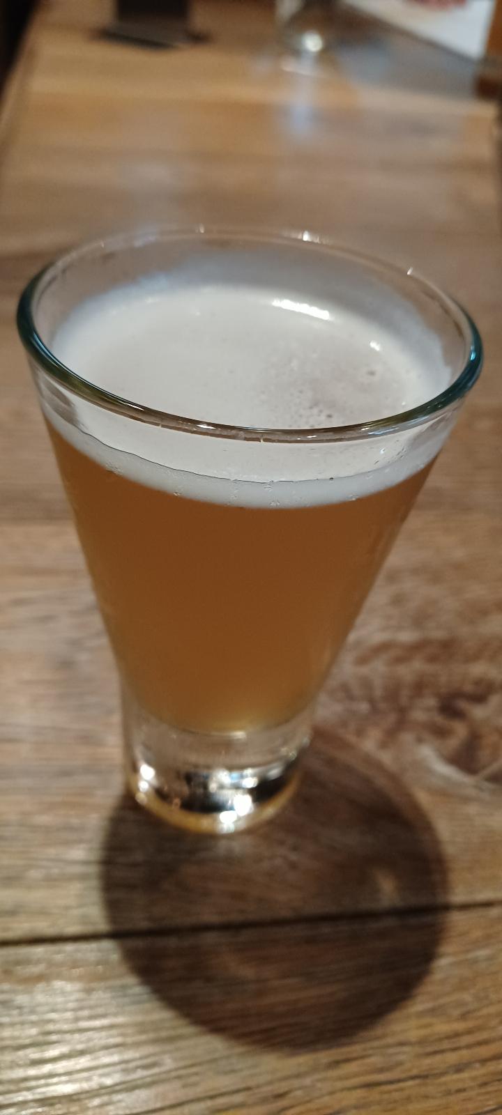 Orange Lager