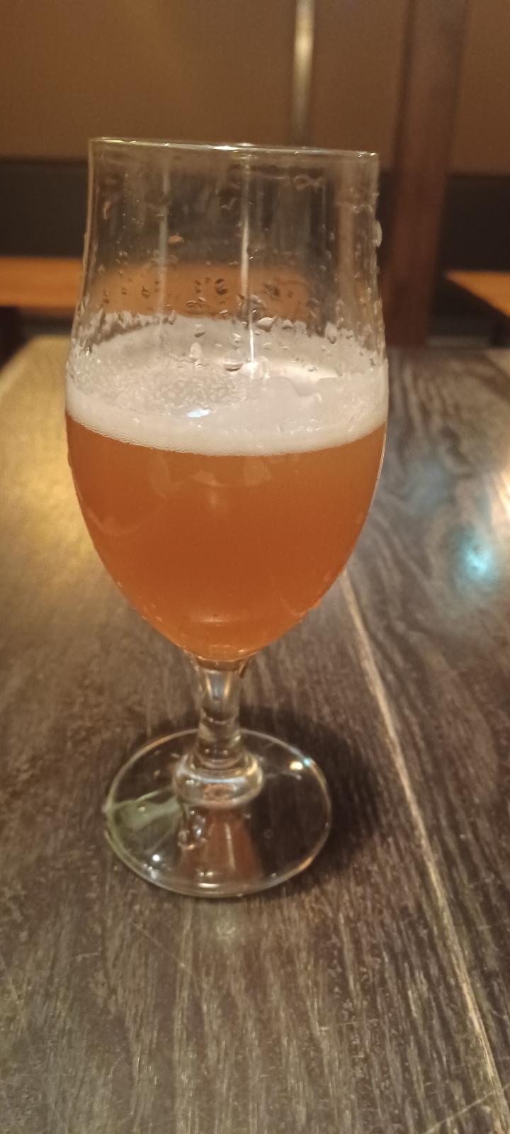 Kabosu Kaoru IPA 