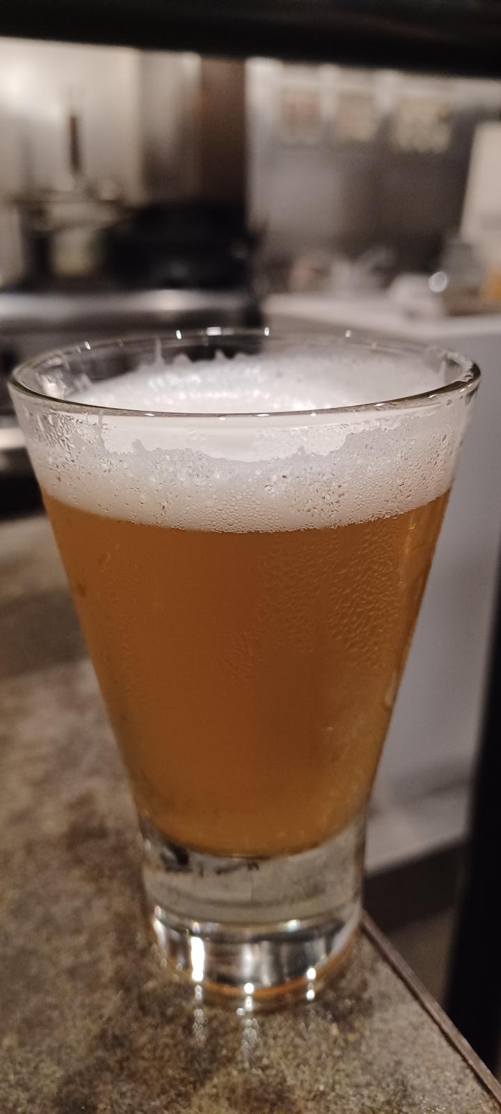 Centaur IPA