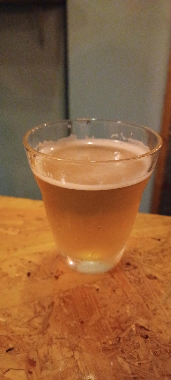 The Pilsner (iBrew House Beer)