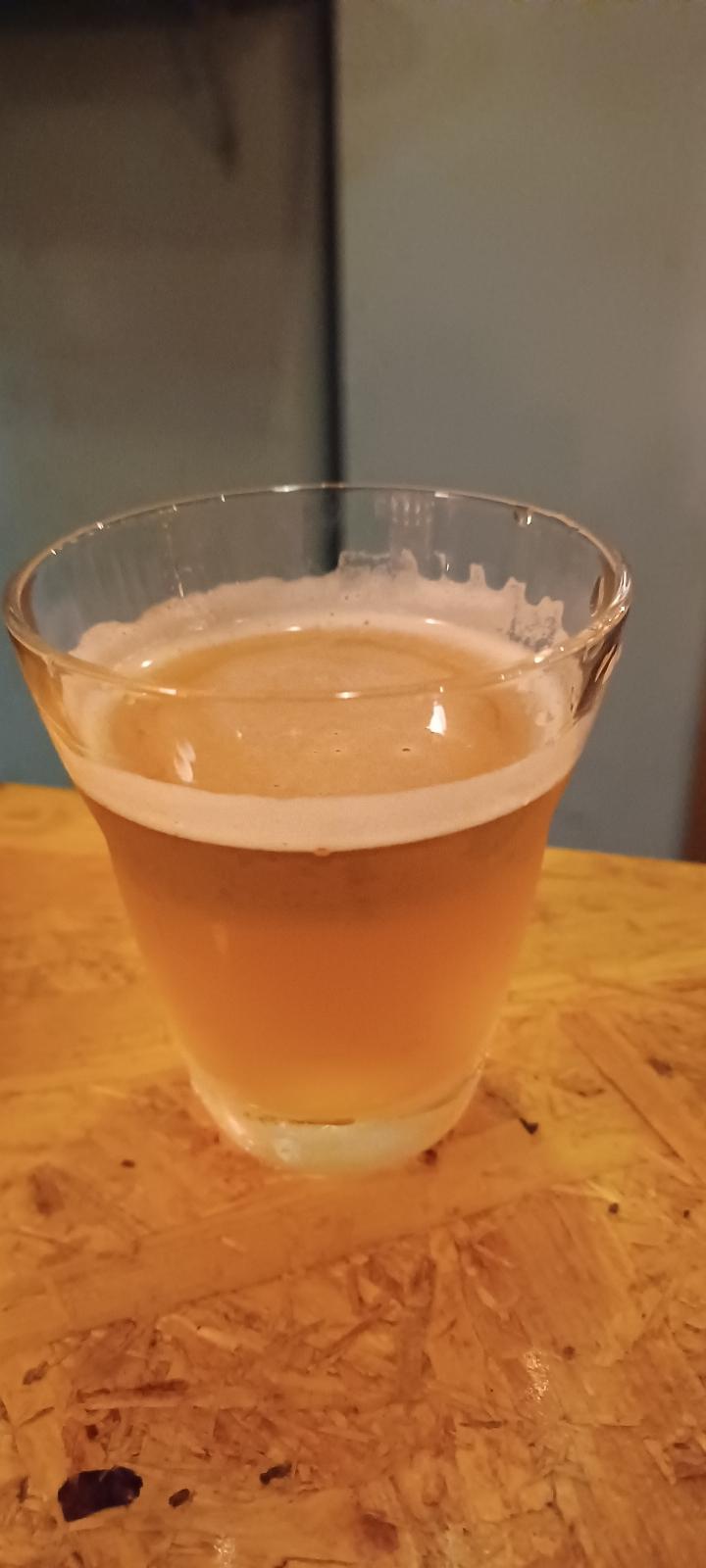 The Pale Ale (iBrew House Beer)